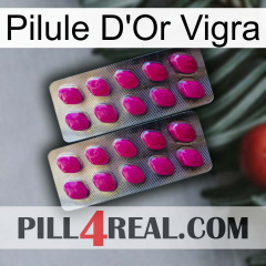 Vigra Gold Pill 10